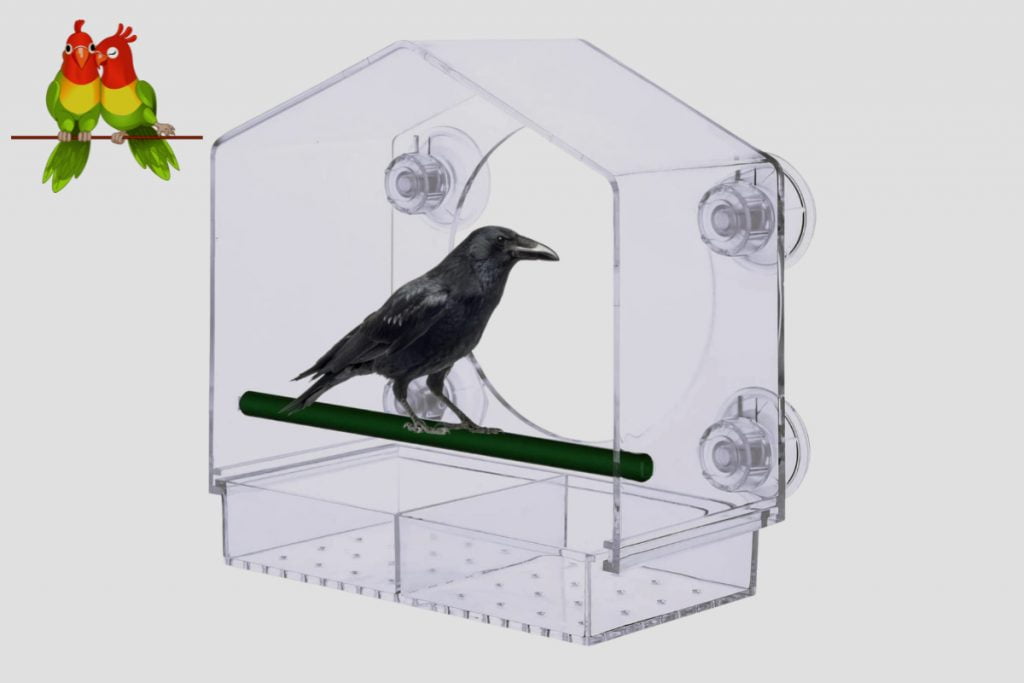 How Do Window Bird Feeders Work