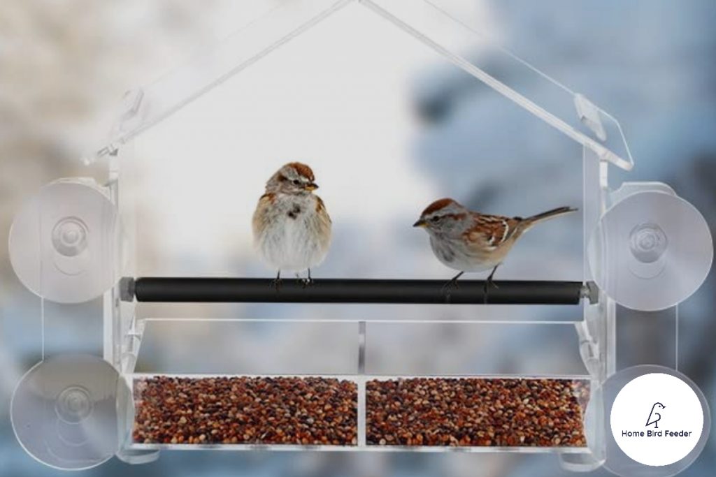 How Do You Clean A Window Bird Feeder
