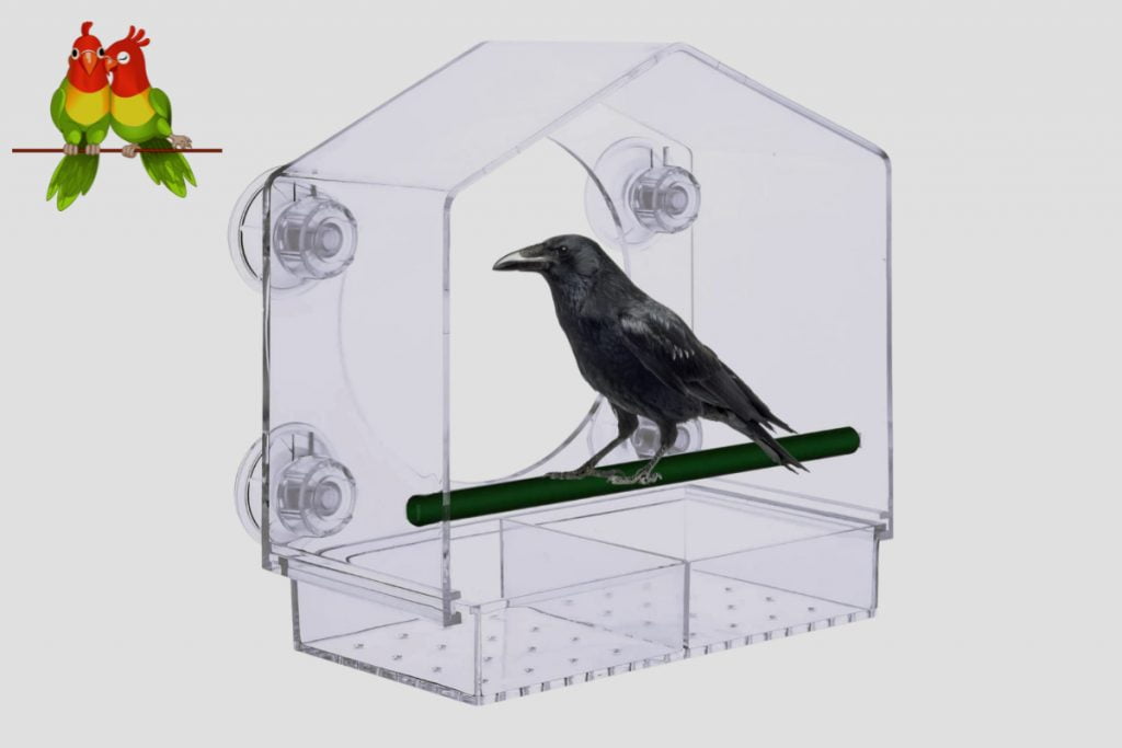 How Do You Install A Window Bird Feeder
