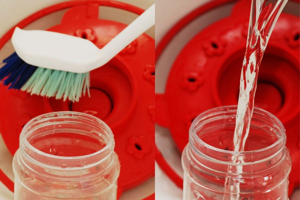 How Often To Clean Hummingbird Feeder