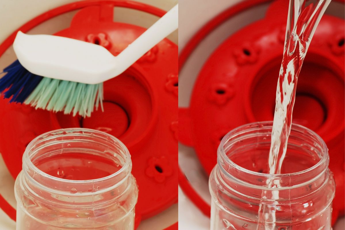 How Often To Clean Hummingbird Feeder