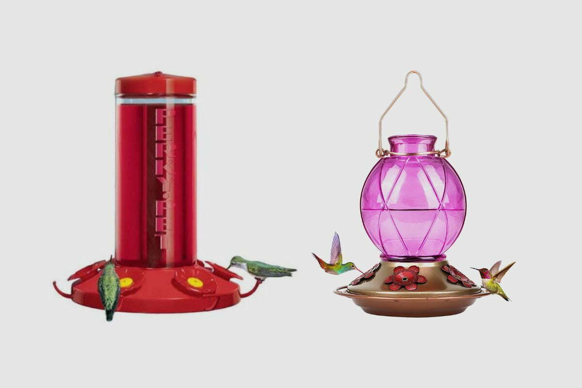 What Should You Look For When Buying A Hummingbird Feeder